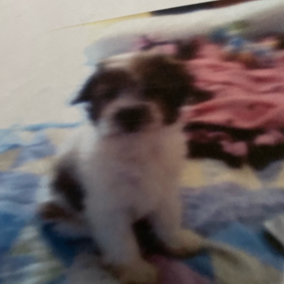 My Best Friend Forever In My Heart 💕 - Picture 4 of 17